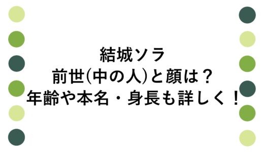 結城ソラの前世(中の人)と顔は？年齢や本名・身長も詳しく！