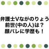 弁護士Vながのりょうの前世(中の人)は？顔バレに学歴も！