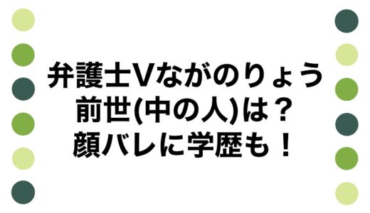 弁護士Vながのりょうの前世(中の人)は？顔バレに学歴も！