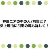 神白ニアの中の人/前世は？炎上理由に引退の噂も詳しく！