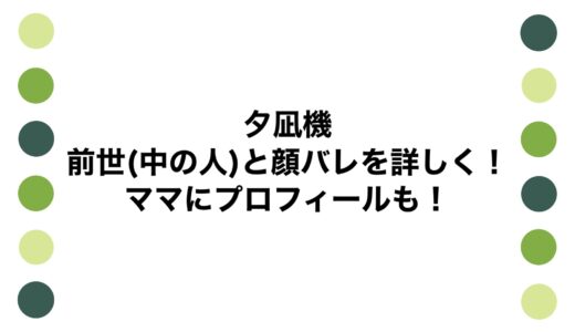 夕凪機の前世(中の人)と顔バレを詳しく！ママにプロフィールも！