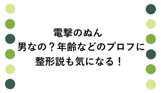 電撃のぬんは男なの？年齢などのプロフに整形説も気になる！