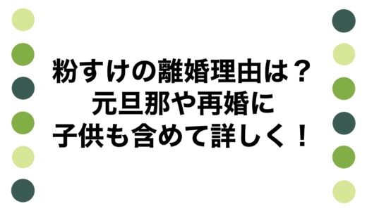 粉すけの離婚理由は？元旦那や再婚に子供も含めて詳しく！