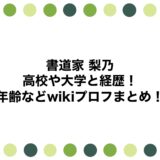 書道家 梨乃の高校や大学と経歴！年齢などwikiプロフまとめ！
