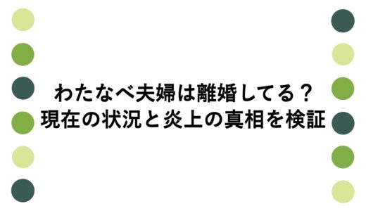 わたなべ夫婦は離婚してる？現在の状況と炎上の真相を検証