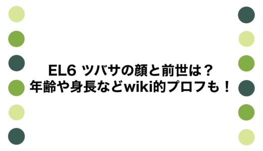 EL6 ツバサの顔と前世は？年齢や身長などwiki的プロフも！