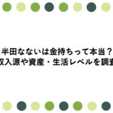 半田なないは金持ちって本当？収入源や資産・生活レベルを調査