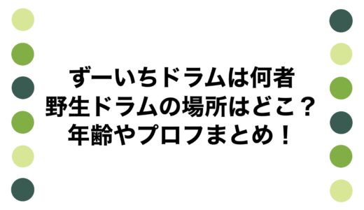 ずーいちドラムは何者で野生ドラムの場所はどこ？年齢やプロフまとめ！