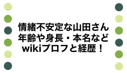 情緒不安定な山田さんの年齢や身長・本名などwikiプロフと経歴！