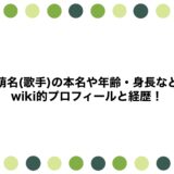 萌名(歌手)の本名や年齢・身長などwiki的プロフィールと経歴！
